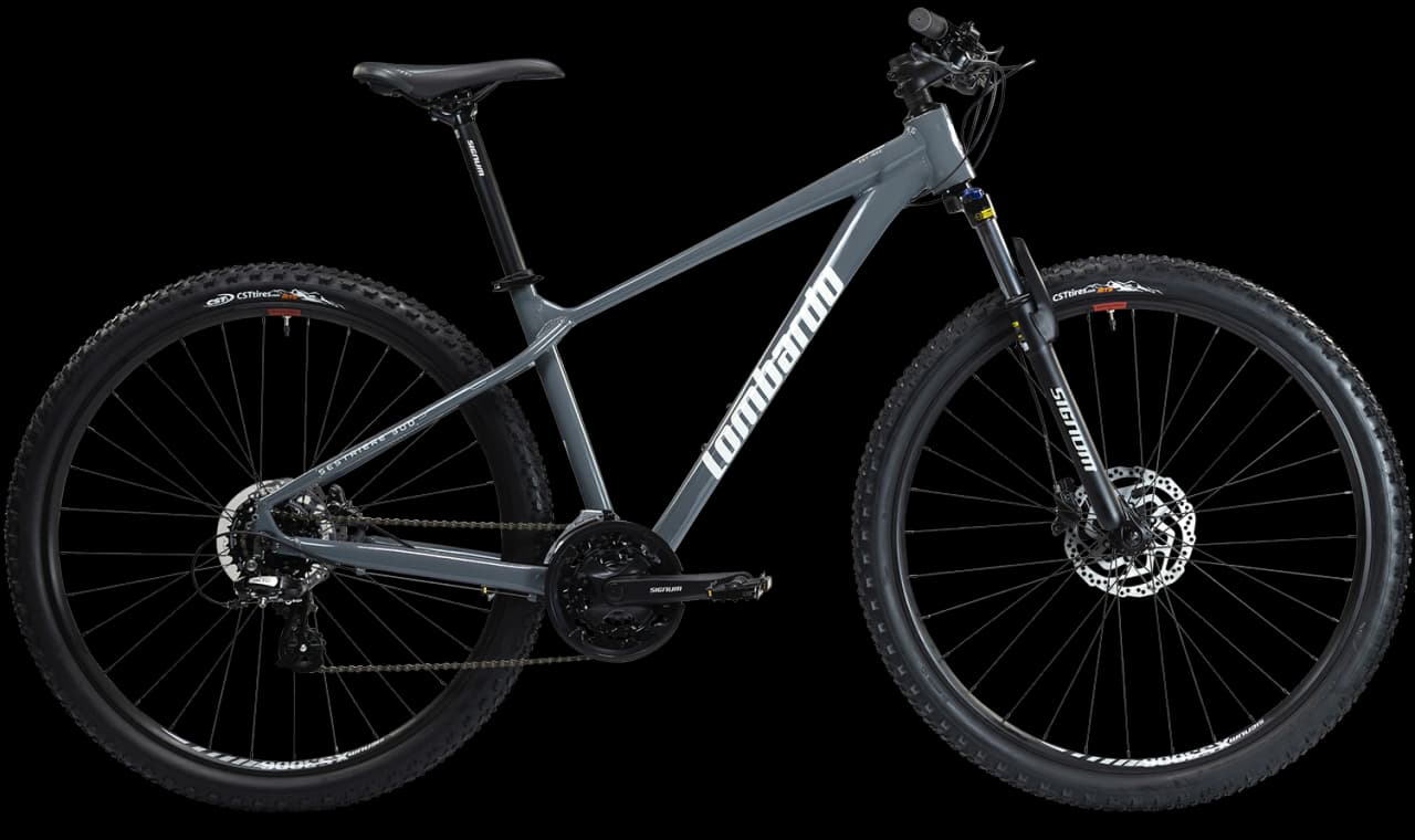 SESTRIERE 300