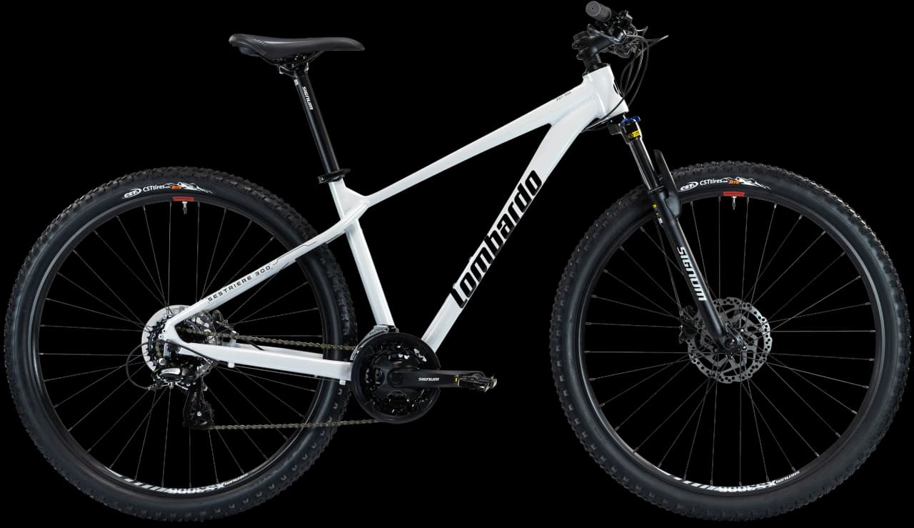 SESTRIERE 300